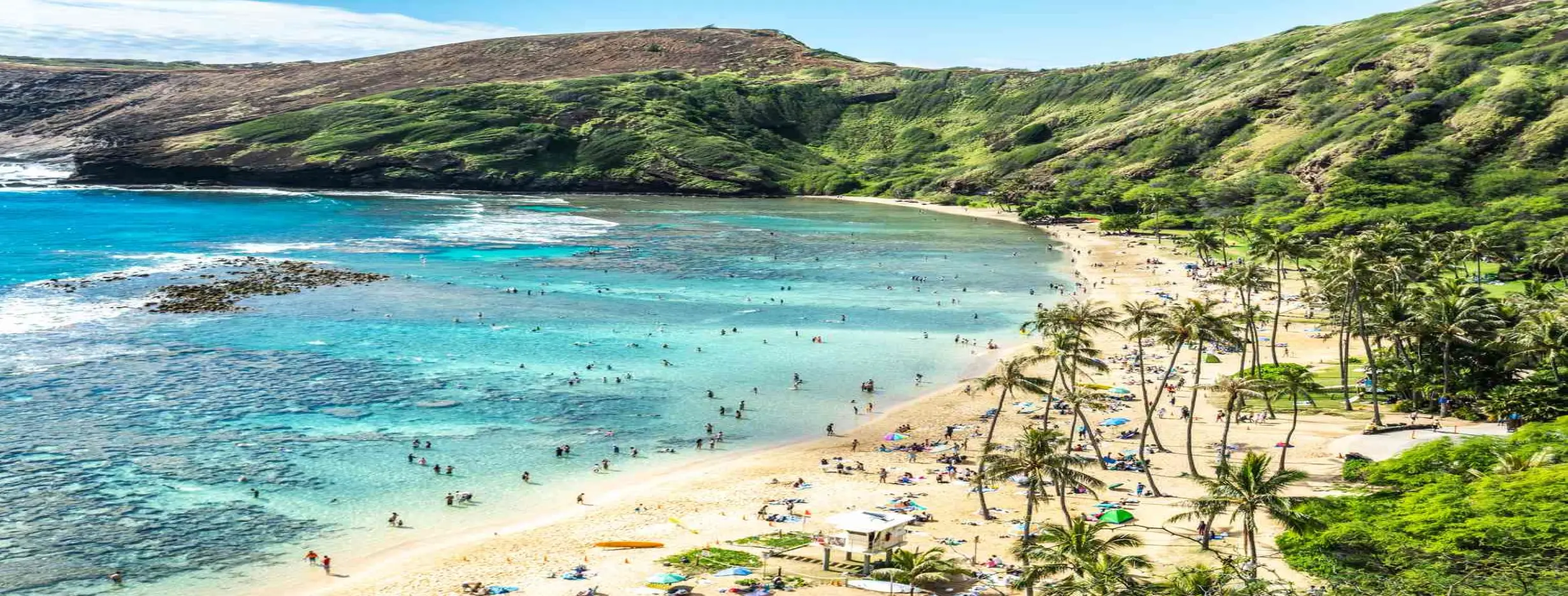 Image for Eco Snorkeling Oasis